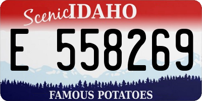 ID license plate E558269