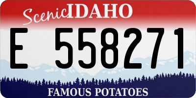 ID license plate E558271