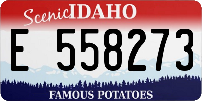 ID license plate E558273
