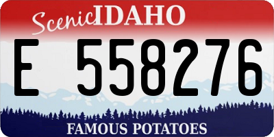 ID license plate E558276