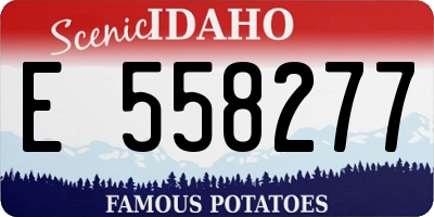 ID license plate E558277