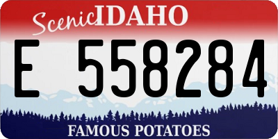 ID license plate E558284