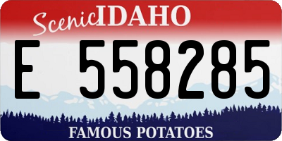 ID license plate E558285