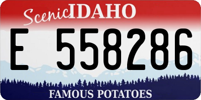 ID license plate E558286