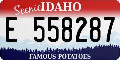 ID license plate E558287