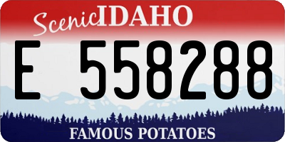 ID license plate E558288