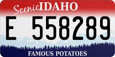 ID license plate E558289