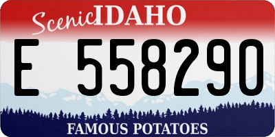 ID license plate E558290