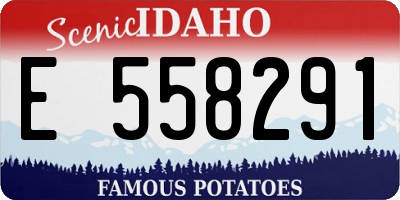 ID license plate E558291