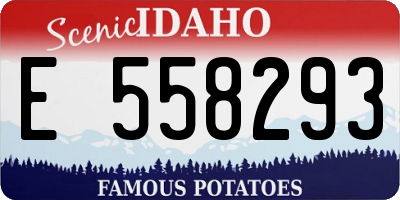 ID license plate E558293