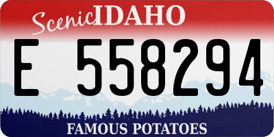 ID license plate E558294