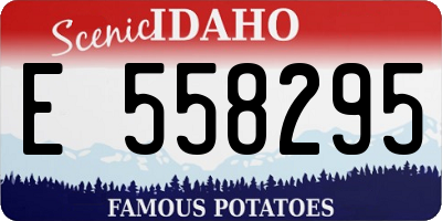 ID license plate E558295