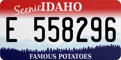 ID license plate E558296