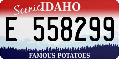 ID license plate E558299