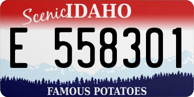 ID license plate E558301