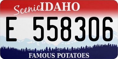 ID license plate E558306