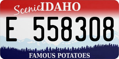 ID license plate E558308