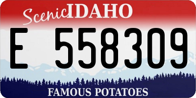 ID license plate E558309