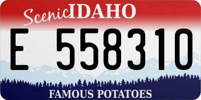 ID license plate E558310