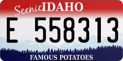 ID license plate E558313