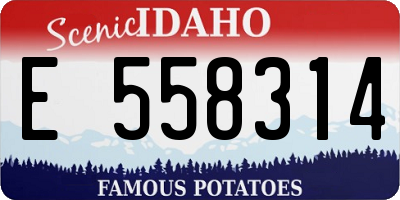 ID license plate E558314