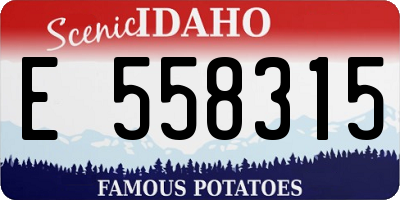 ID license plate E558315