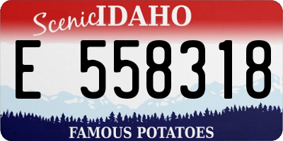 ID license plate E558318