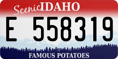 ID license plate E558319