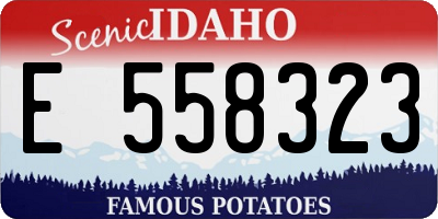 ID license plate E558323