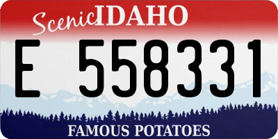 ID license plate E558331