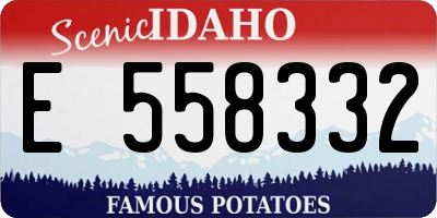 ID license plate E558332