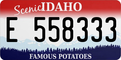 ID license plate E558333