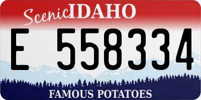 ID license plate E558334