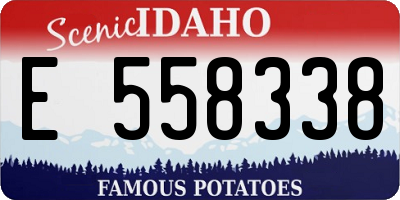 ID license plate E558338