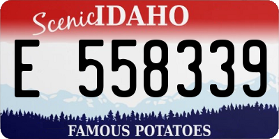 ID license plate E558339