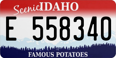 ID license plate E558340