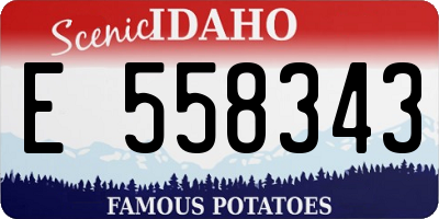 ID license plate E558343