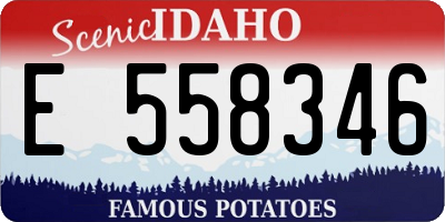ID license plate E558346