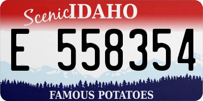 ID license plate E558354