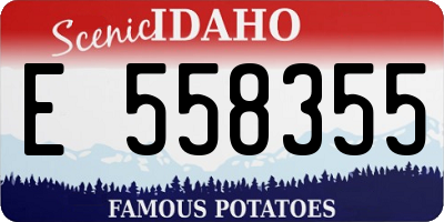 ID license plate E558355