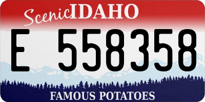 ID license plate E558358