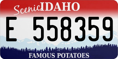 ID license plate E558359