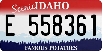 ID license plate E558361