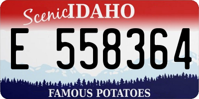 ID license plate E558364