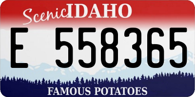 ID license plate E558365