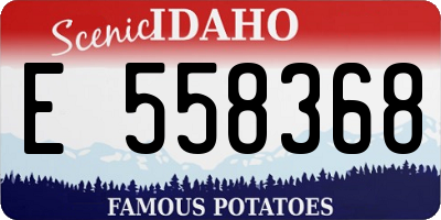 ID license plate E558368