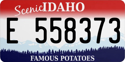 ID license plate E558373