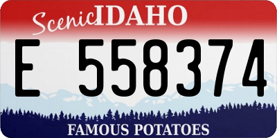 ID license plate E558374