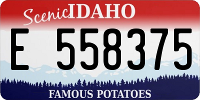 ID license plate E558375