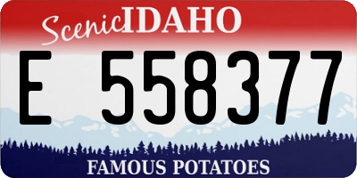 ID license plate E558377